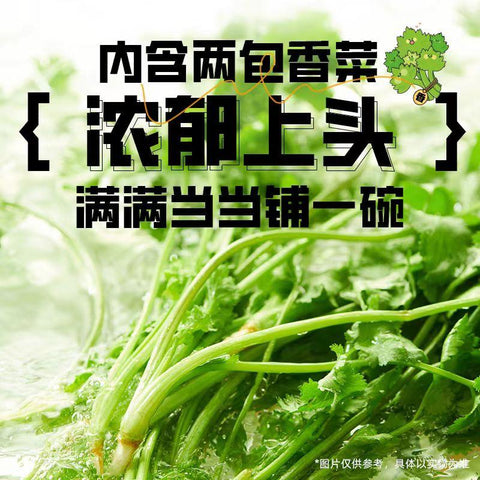 白象インスタント麺 香菜麵(115g×5pc)