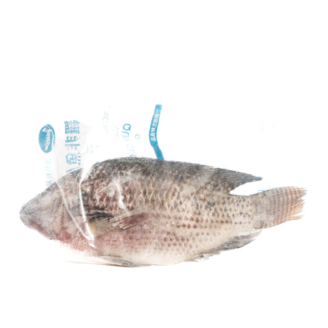 テラピア呉郭魚(内臓抜)約300g / 罗非鱼/吴郭鱼(内脏抜)約300g
